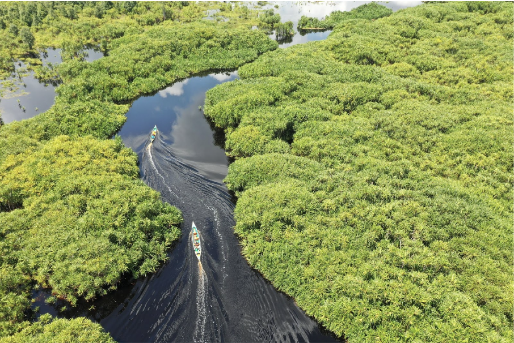 Belterra, na Amazônia, quer ser a 