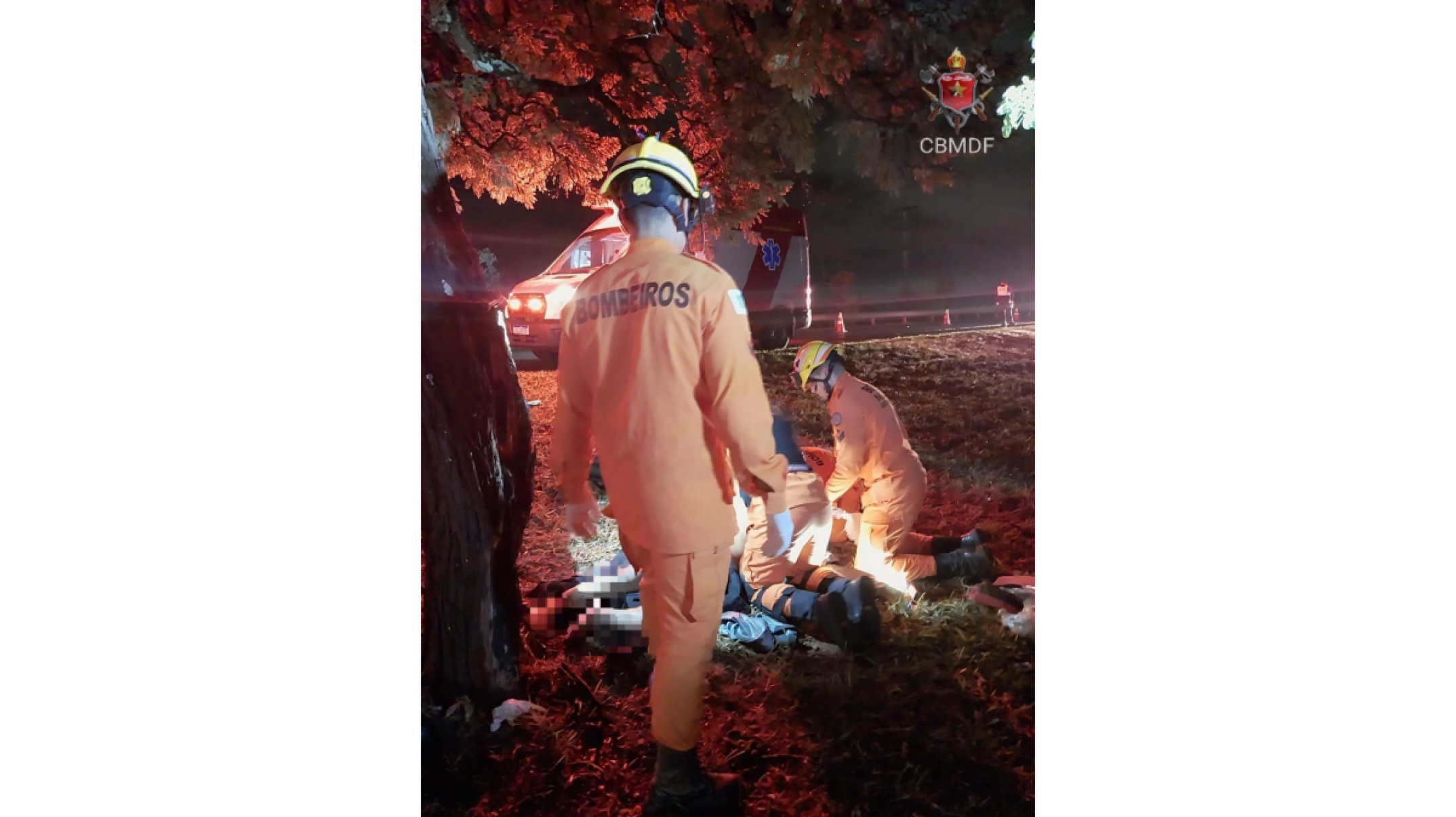 Motociclista morre após colidir contra árvore em São Sebastião