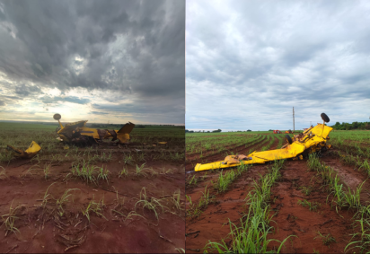 Avião agrícola caiu na zona rural de Goiás -  (crédito: Corpo de Bombeiros de Goiás)