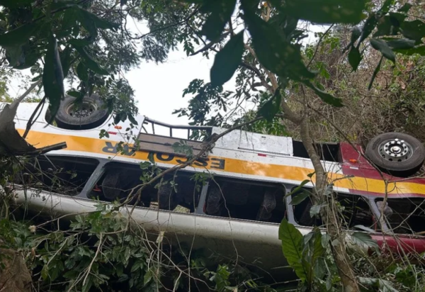 Ônibus ficou em uma área de mata  -  (crédito: Reprodução)