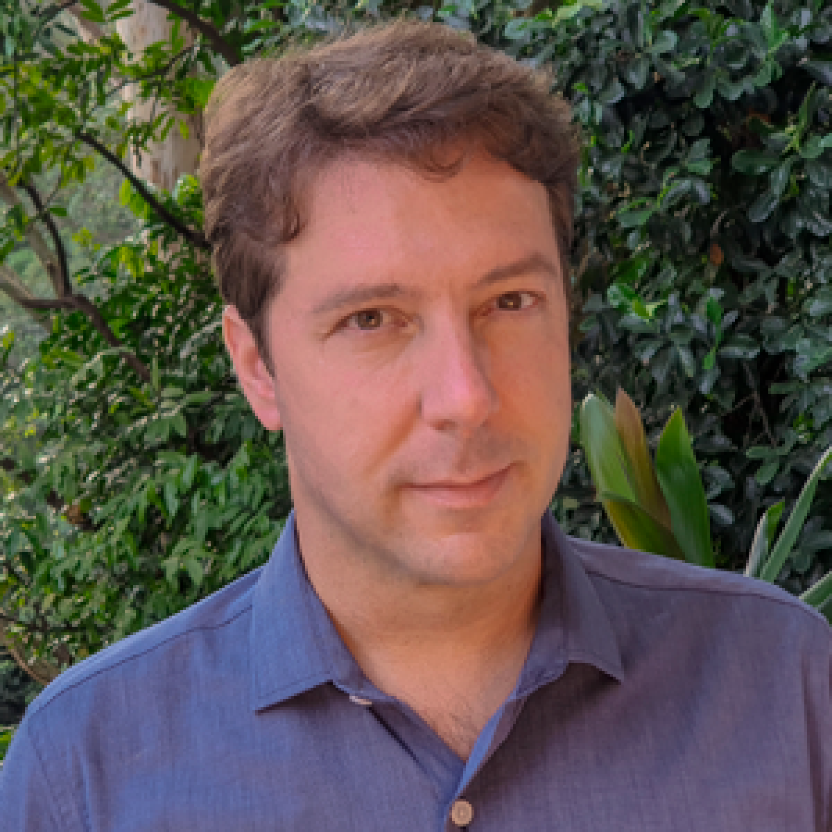 Bernardo B. N. Strassburg