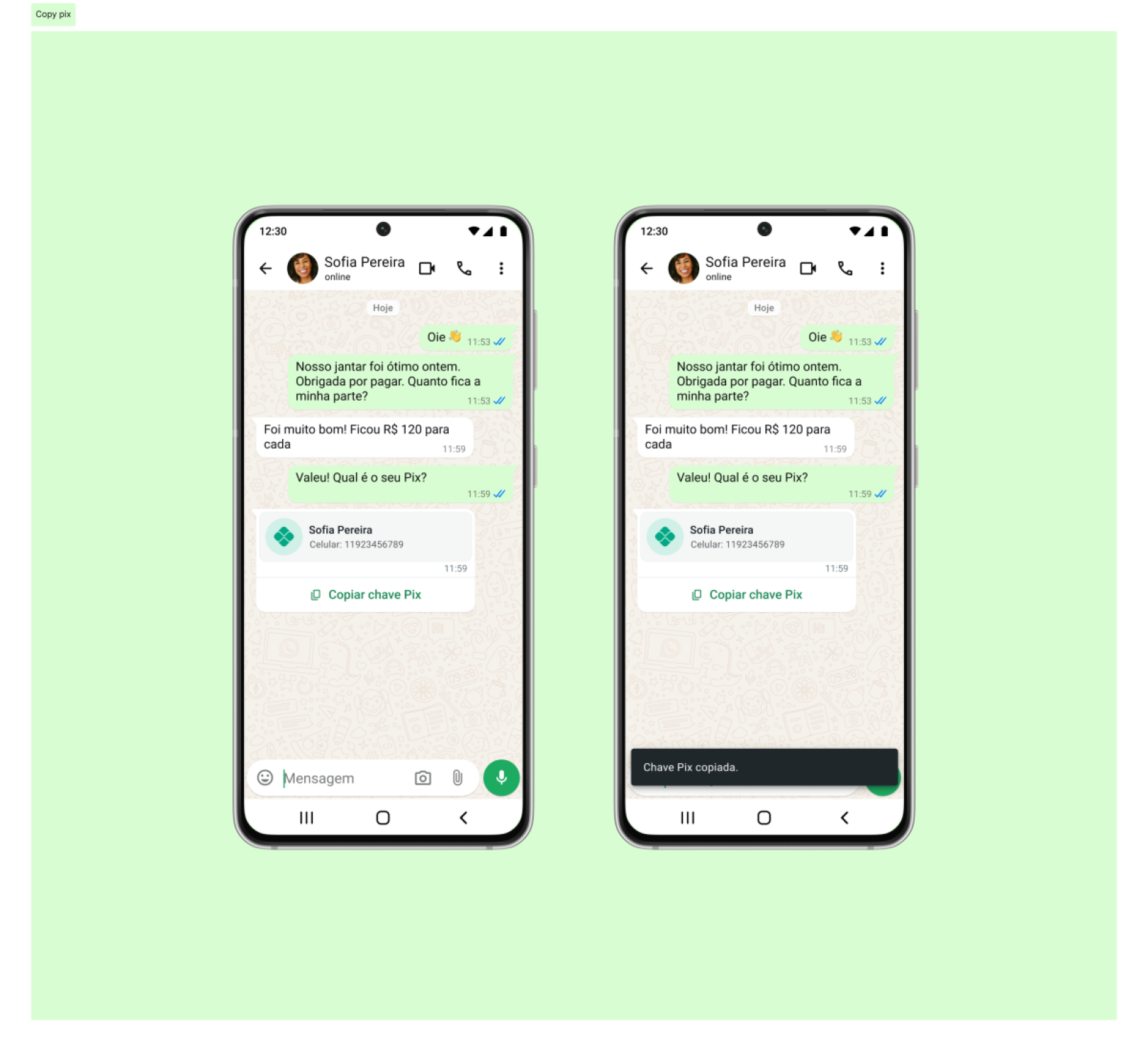 Nova funcionalidade, especialmente para os brasileiros, é anunciada pelo whatsapp