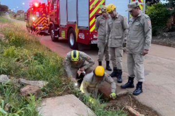 Após os primeiros socorros, o homem foi encaminhado para a Unidade de Pronto Atendimento de Luziânia -  (crédito: Corpo de Bombeiros de Goiás/Reprodução)