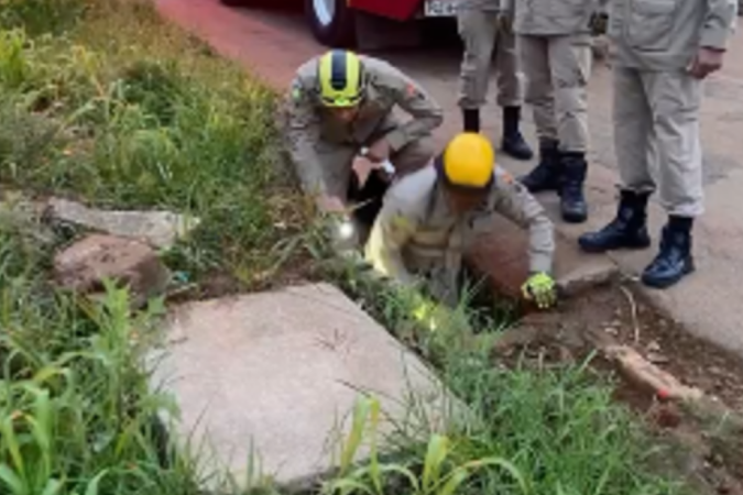 Após os primeiros socorros, o homem foi encaminhado para a Unidade de Pronto Atendimento de Luziânia -  (crédito: Corpo de Bombeiros de Goiás/Reprodução)