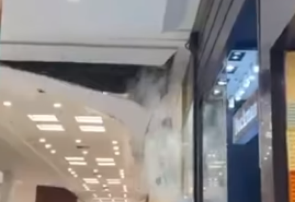 Reprodução instagram