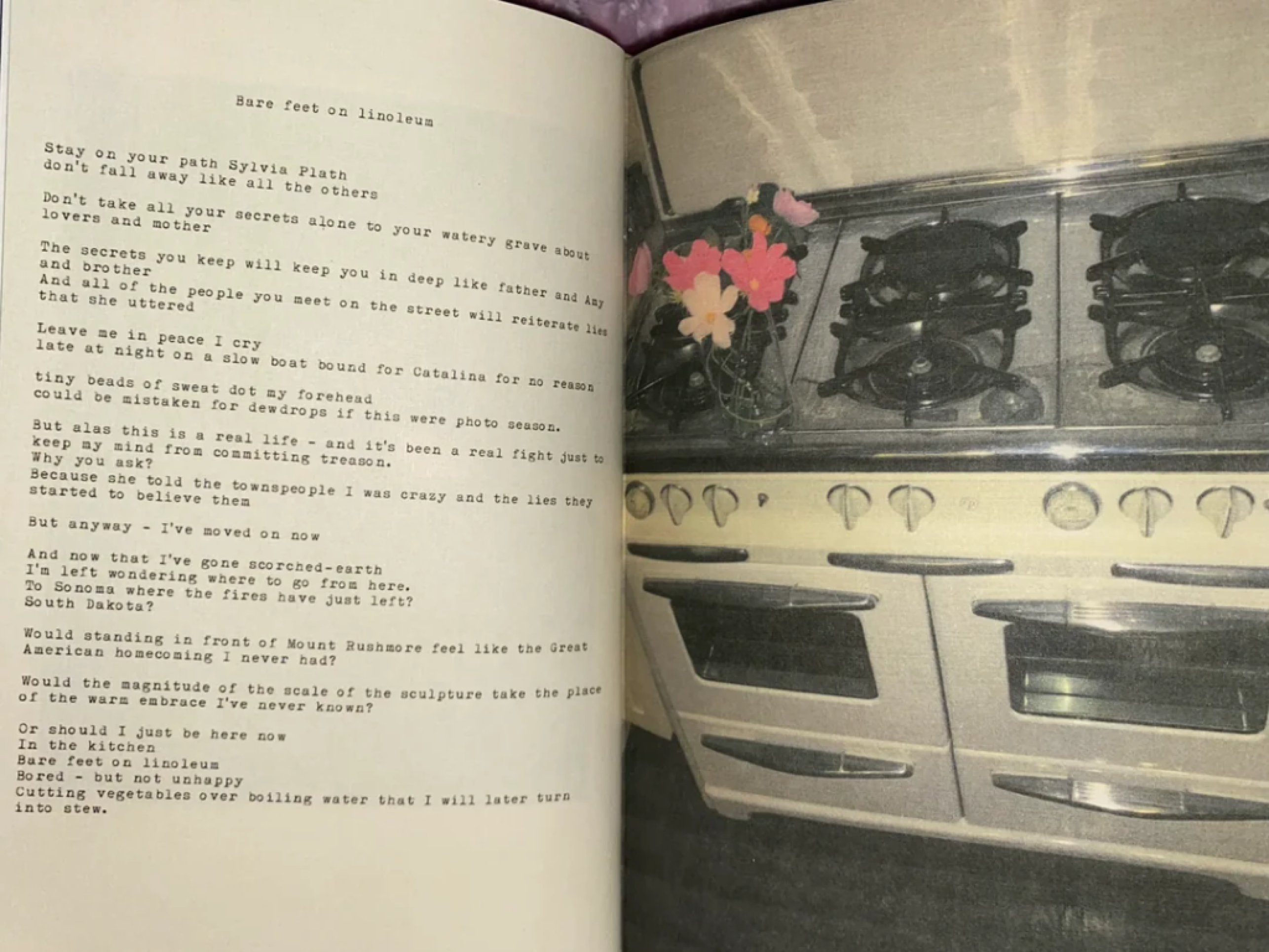 Lana del Rey escreve sobre Sylvia Plath em seu livro de poesias Violet Bent Backwards over the Grass