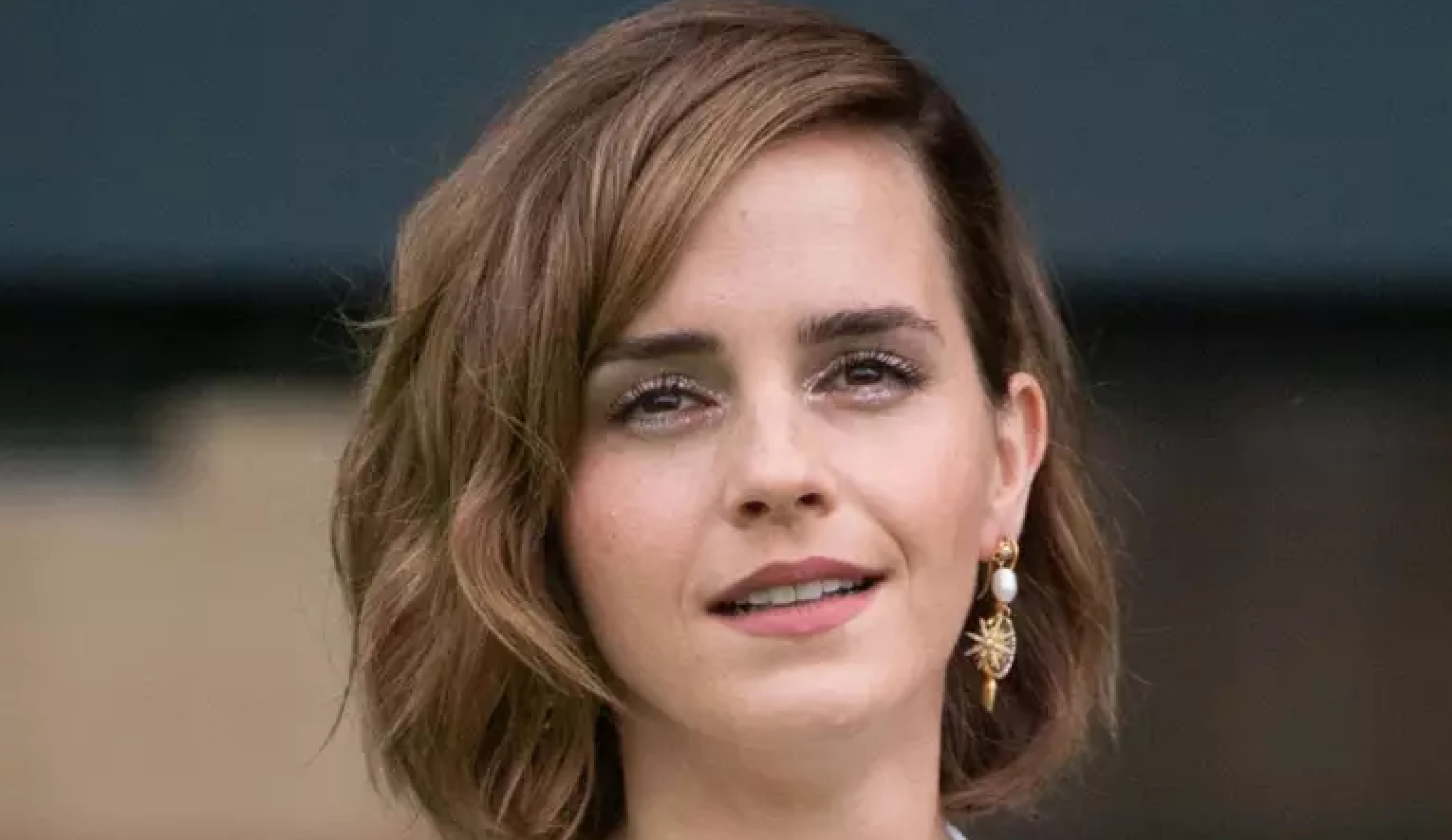 Emma Watson: do cinema à vida acadêmica  