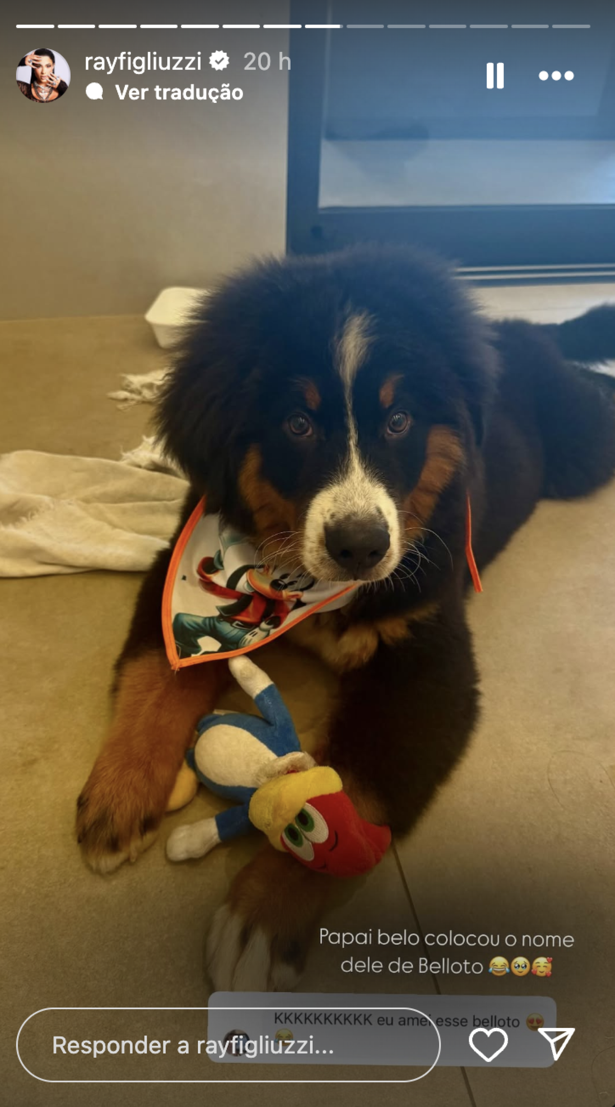 Cachorro de Belo e Ray Figliuzzi 