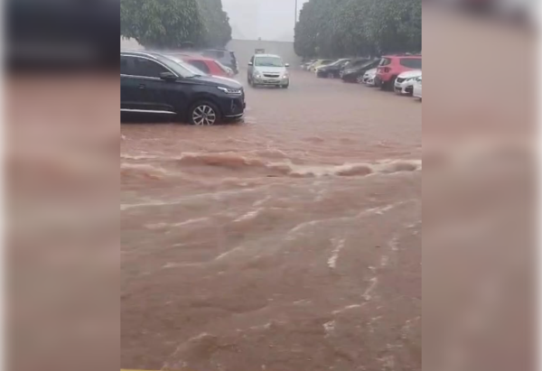Foto: Imagens cedidas ao Correio