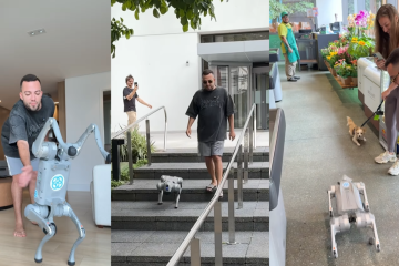 Lucas Rangel compra cachorro-robô de R$ 40 mil e divide opiniões na web
- (crédito: Redes Sociais) Lucas Rangel compra cachorro-robô de R$ 40 mil e divide opiniões na web
- (crédito: Redes Sociais)