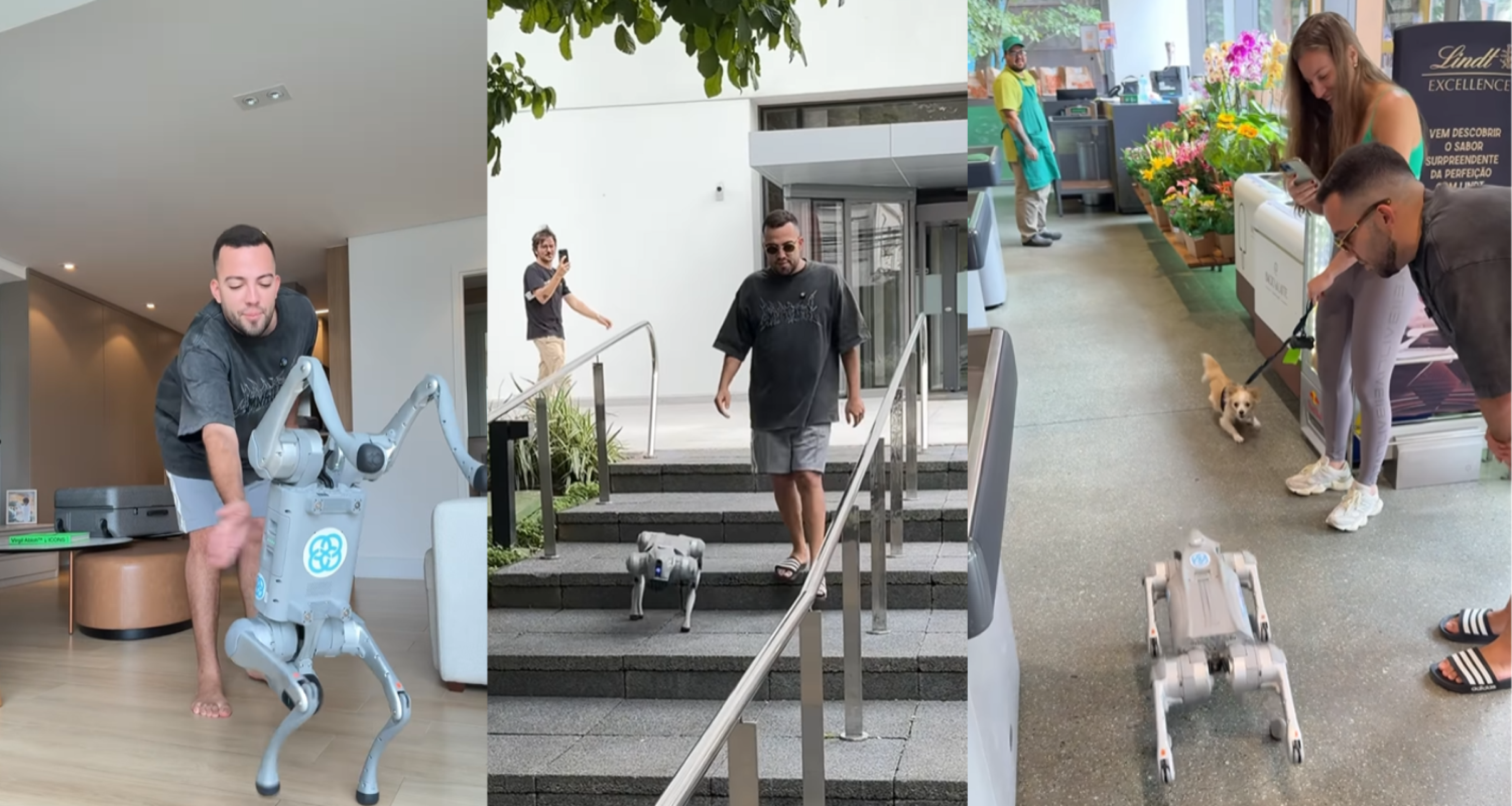 Lucas Rangel compra cachorro-robô de R$ 40 mil e divide opiniões na web