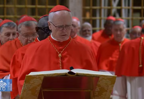 Vatican News/Reprodução