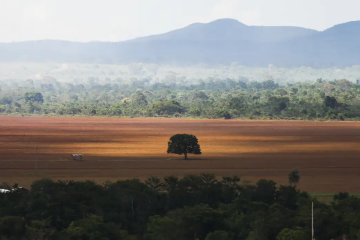 A proposta é amplamente criticada por entidades socioambientais, que lançaram uma campanha contra o texto, chamada de A proposta é amplamente criticada por entidades socioambientais, que lançaram uma campanha contra o texto, chamada de