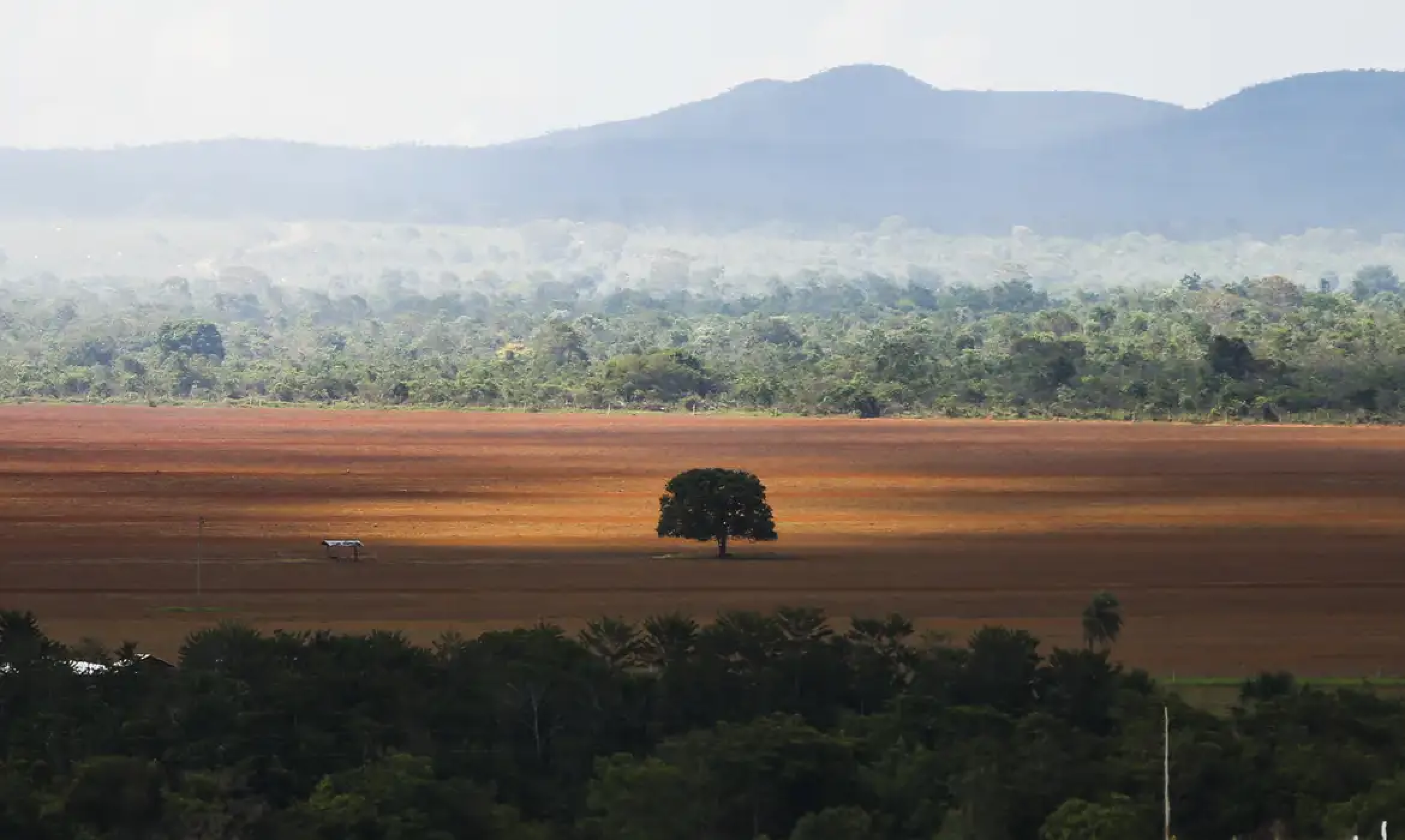 Especialistas criticam novo licenciamento ambiental, em discussão no Senado
