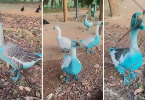 Arquivo pessoal 