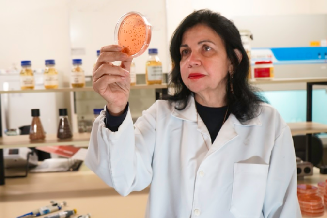 Mariangela Hungria disse que ficou extremamente honrada com o reconhecimento, pois o título refere-se à trajetória, toda uma vida dedicada ao uso de biológicos na agricultura, em substituição parcial ou total a fertilizantes químicos - (crédito: Luciano Pascoal/Arquivo Embrapa Soja) Mariangela Hungria disse que ficou extremamente honrada com o reconhecimento, pois o título refere-se à trajetória, toda uma vida dedicada ao uso de biológicos na agricultura, em substituição parcial ou total a fertilizantes químicos - (crédito: Luciano Pascoal/Arquivo Embrapa Soja)