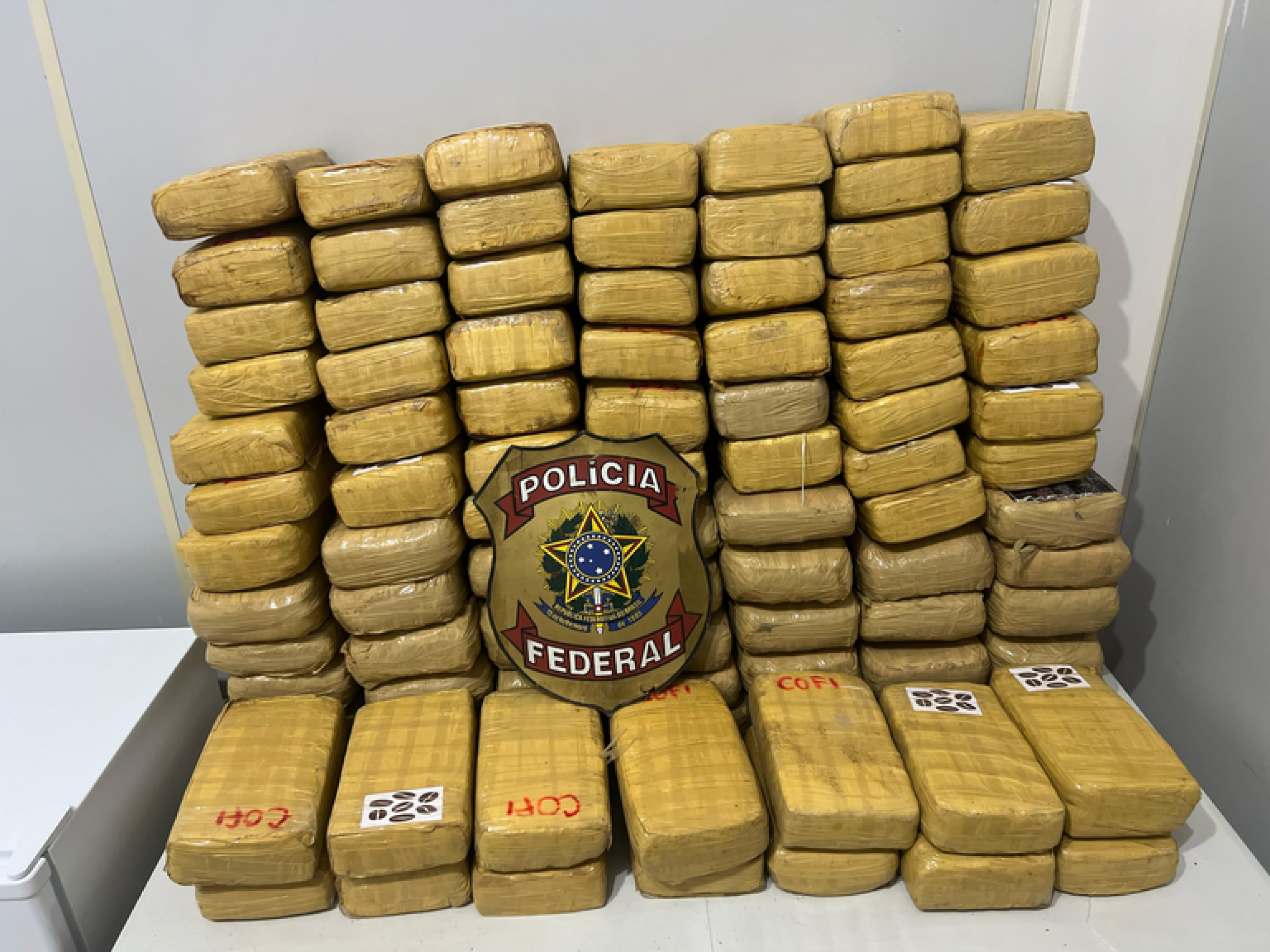 90Kg de Maconha foram apreendidos na operação após aeronave ser incendiada em Altamira (PA)