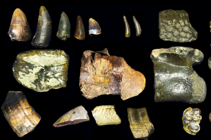 Descobertas arqueológicas na costa de Java, na Indonésia, fornecem informações sobre o mundo do Homo erectus, há 140 mil anos - (crédito: Divulgação//Universidade de Leiden) Descobertas arqueológicas na costa de Java, na Indonésia, fornecem informações sobre o mundo do Homo erectus, há 140 mil anos - (crédito: Divulgação//Universidade de Leiden)