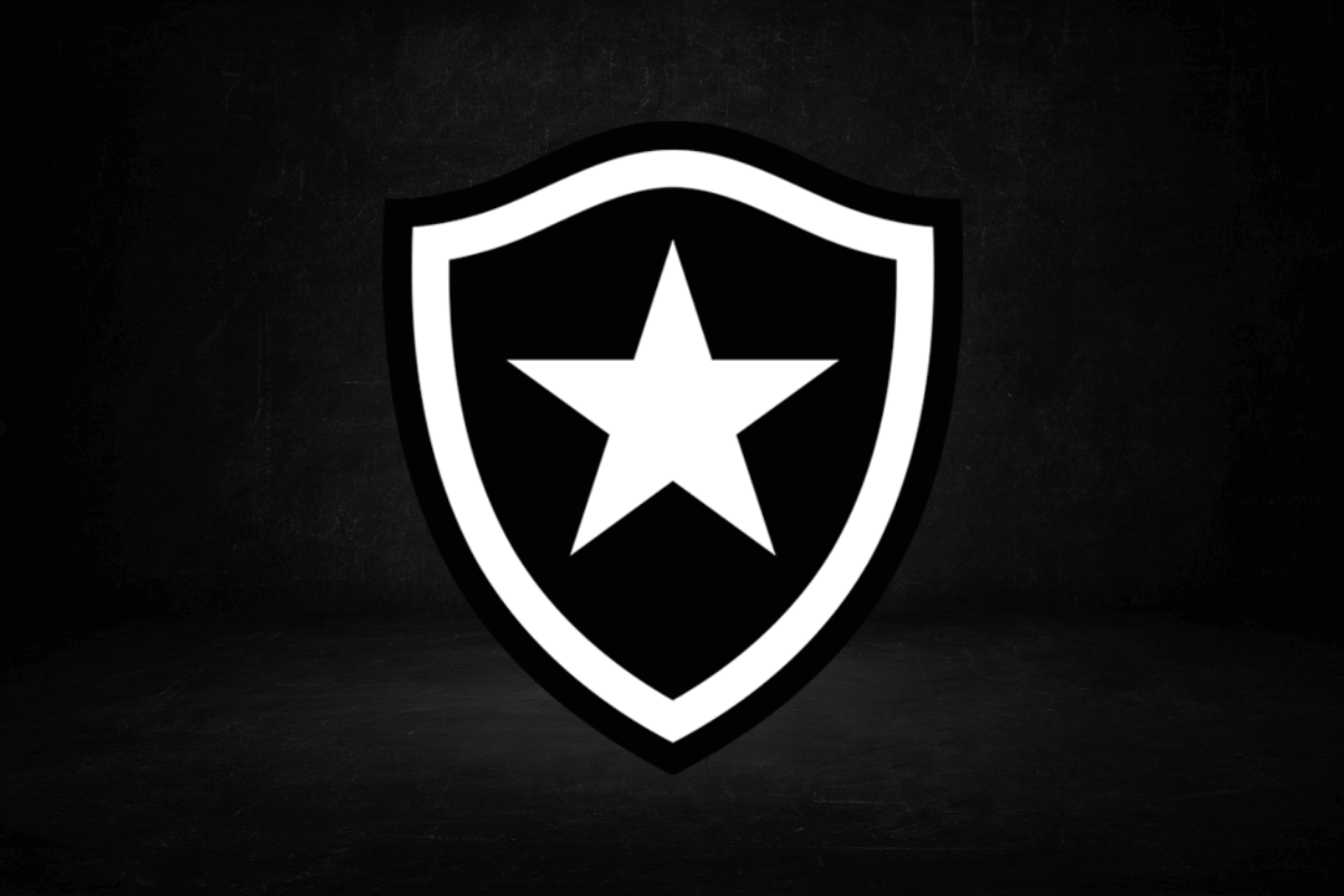 Veja a trajetória do Botafogo no Campeonato Brasileiro