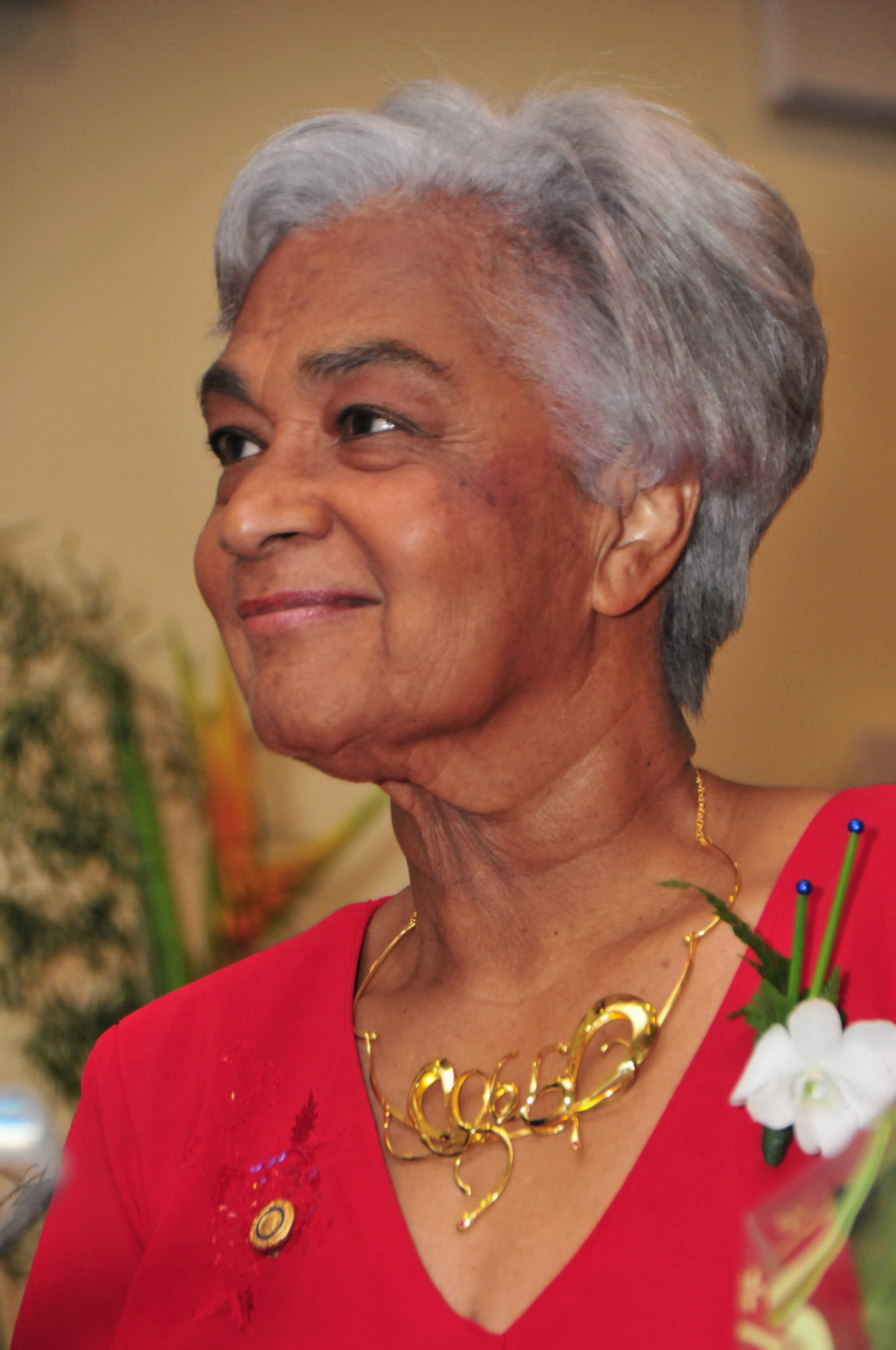 Biblioteca Nacional de Brasília recebe escritora do Suriname 