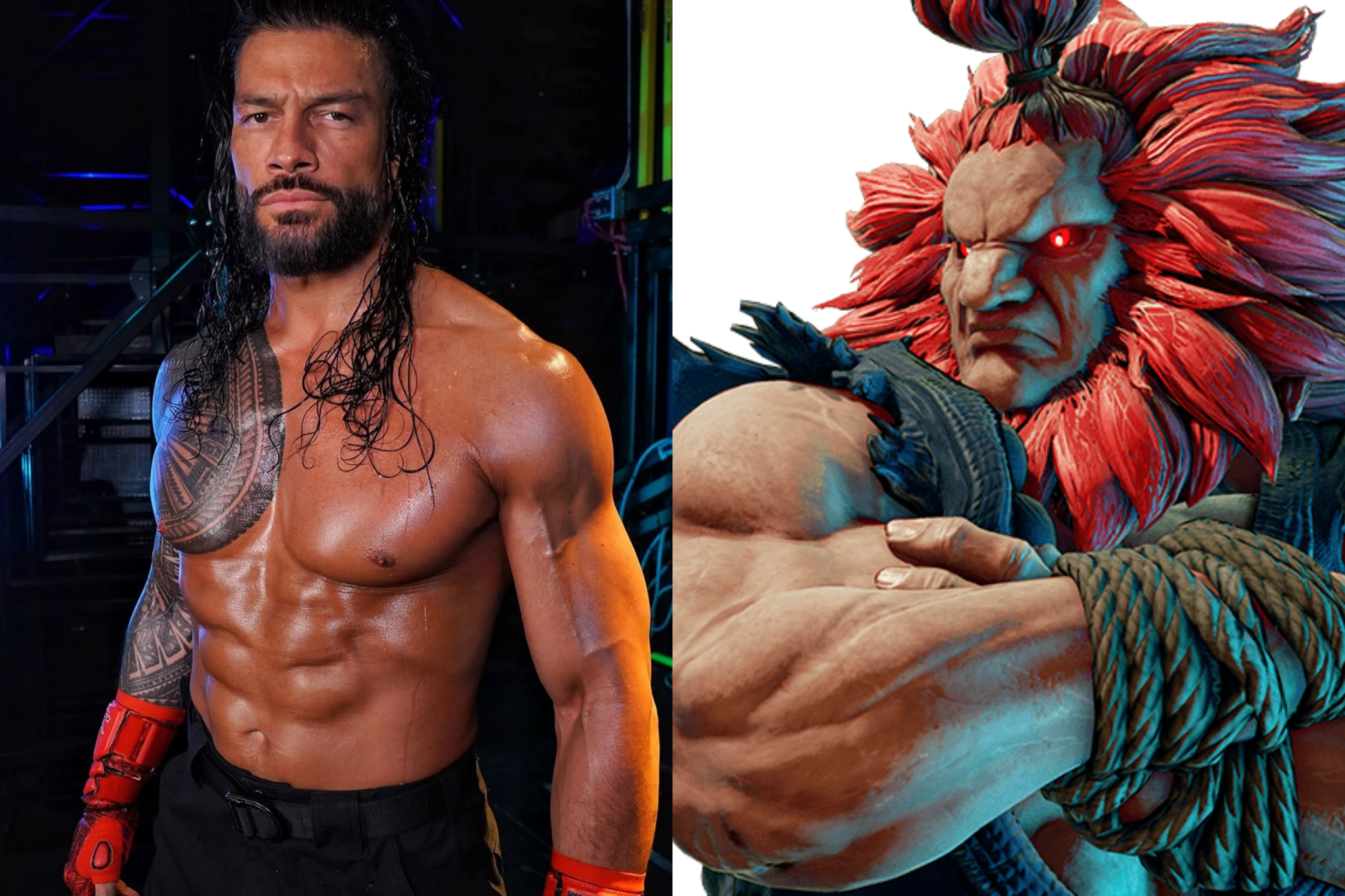 Roman Reigns será o Akuma.