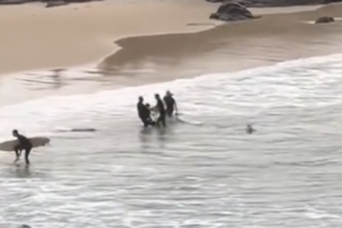 Momento do salvamento foi registrado em vídeo -  (crédito: Reprodução/Tiktok)