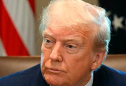 Izadora Morais prevê novo atentado contra Donald Trump e alerta: 'ele não termina o mandato'  -  (crédito: Divulgação)