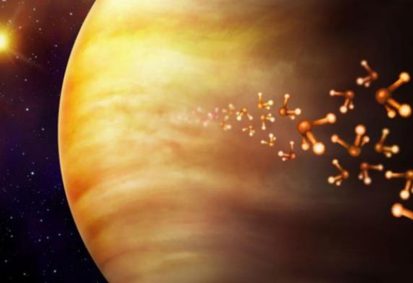 Divulgação/Danielle Futselaar