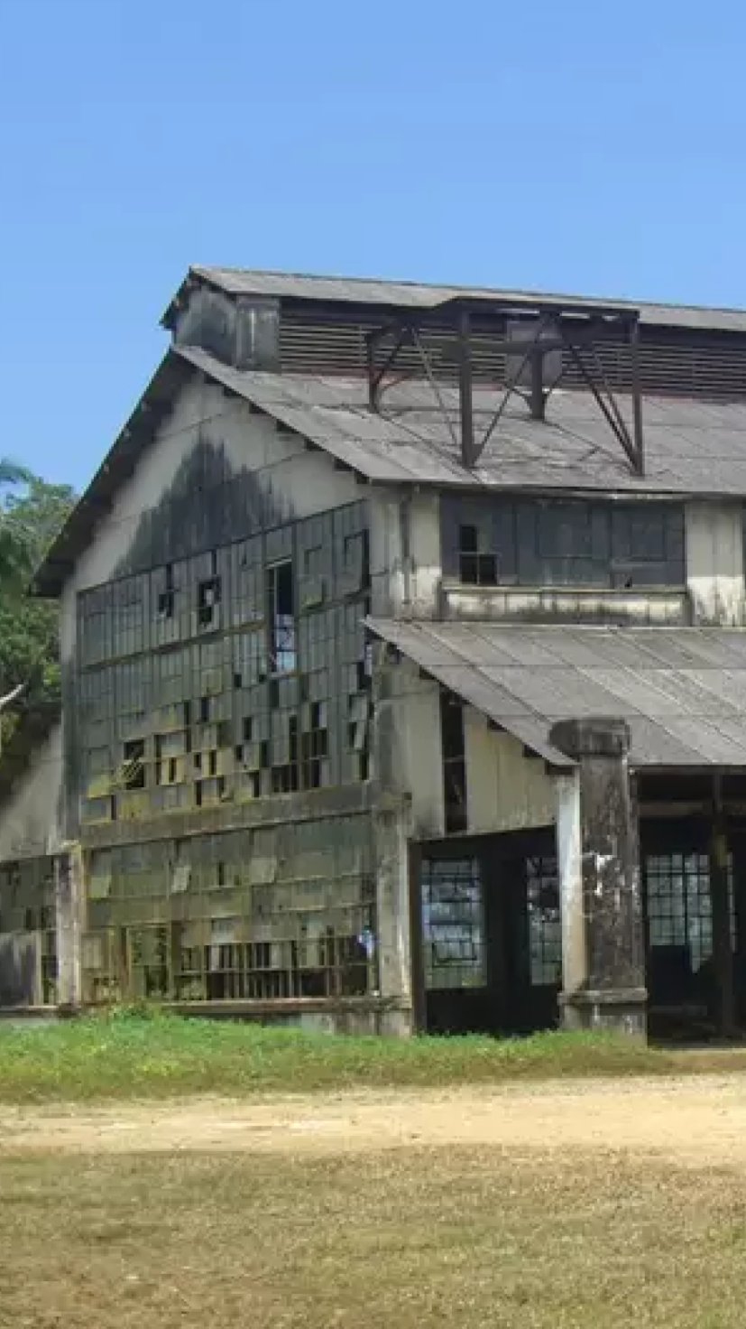 Conheça Fordlândia, cidade criada por Henry Ford no Pará com o objetivo de fornecer látex para as indústiras Ford -  (crédito: Wikimedia Commons / Viagem em Pauta )
