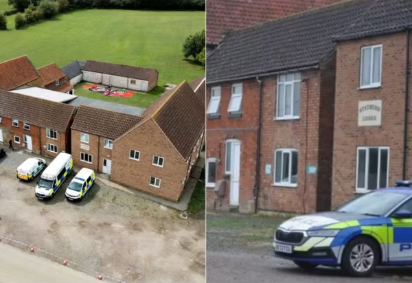 Reprodução / Redes sociais