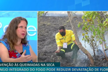 sabel Schmidt, professora do Departamento de Ecologia da UnB e pesquisadora da Rede Biota -  (crédito: Ytb)