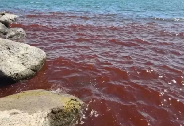 Redes Sociais/Reprodução