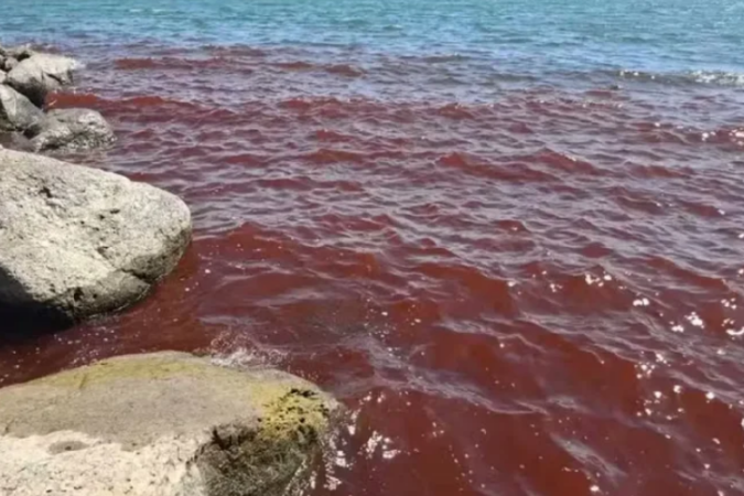 O capítulo da bíblia relata a história da Dez Pragas do Egito, quando Deus transforma as águas do Nilo em sangue - (crédito: Redes Sociais/Reprodução ) O capítulo da bíblia relata a história da Dez Pragas do Egito, quando Deus transforma as águas do Nilo em sangue - (crédito: Redes Sociais/Reprodução )