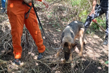 Corpo foi encontrado no Areal -  (crédito: CBMDF/Divulgação)