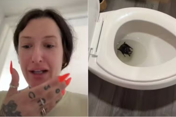 Na conta seguida por 59,8 mil internautas na rede social em questão, Doyle compartilhou um vídeo do momento. 'Olhei para baixo e era um filhote de morcego, já morto', afirmou, em entrevista à revista People -  (crédito: Reprodução / TikTok)