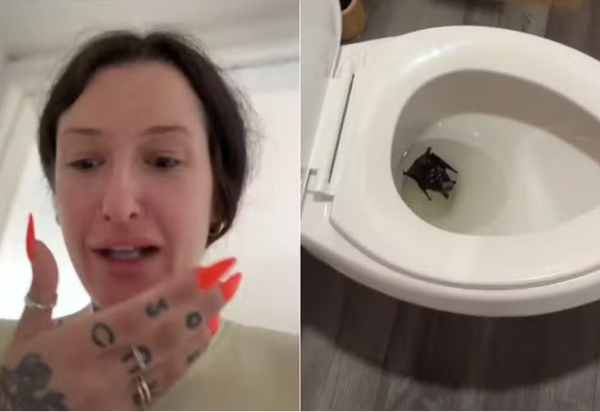 Reprodução / TikTok