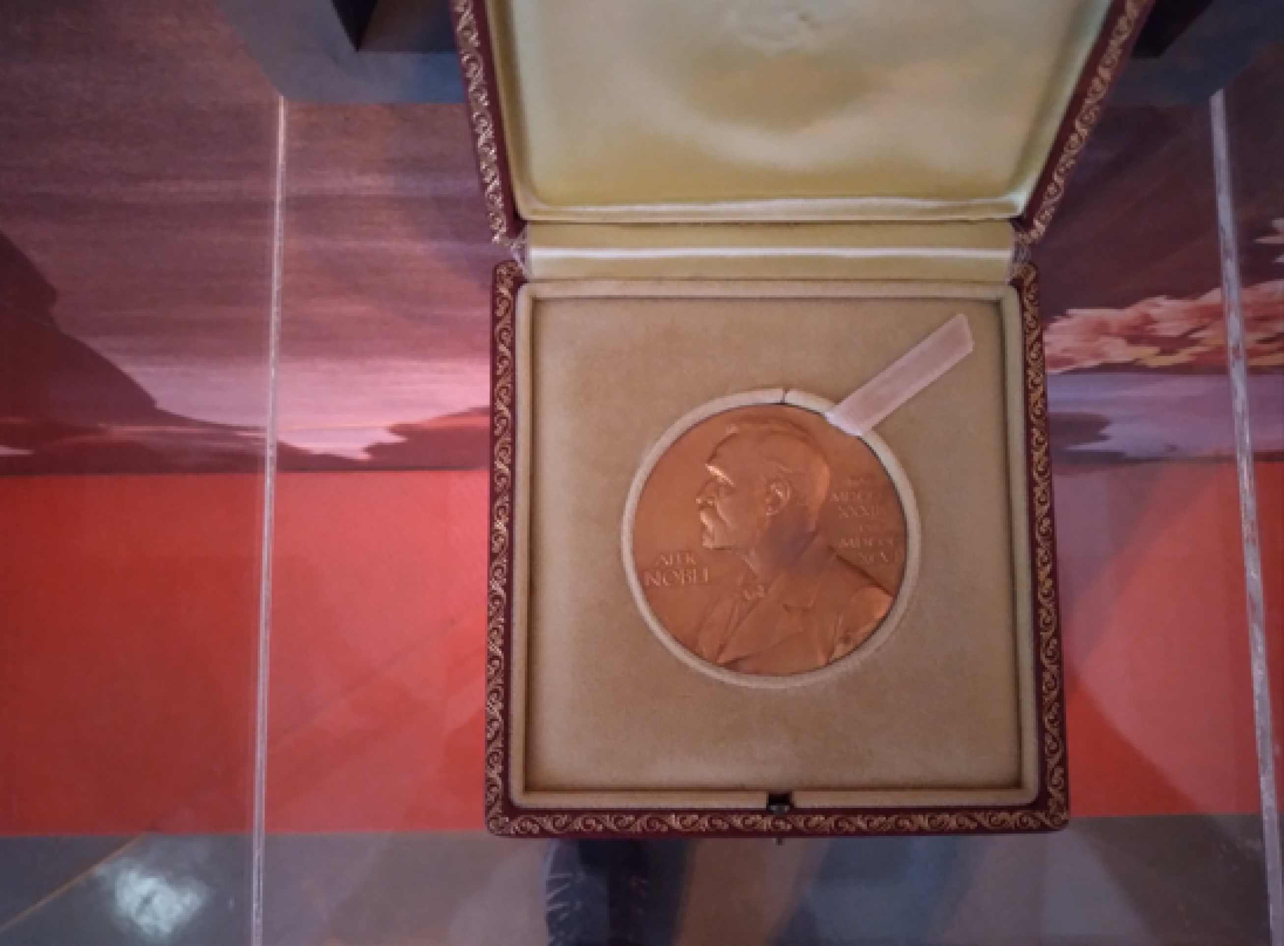 Museu de José Saramago em Lisboa coloca a história diante de nossos olhos