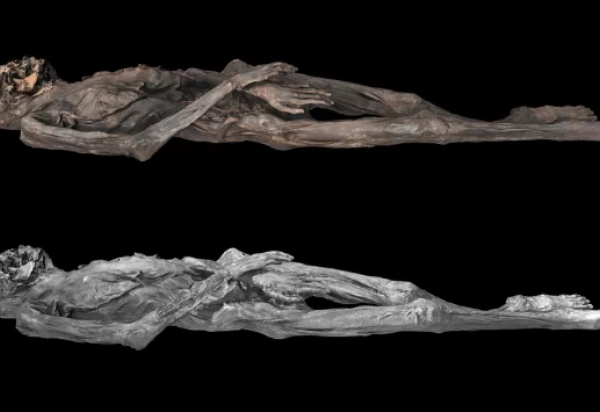 Reprodução / Antiquity