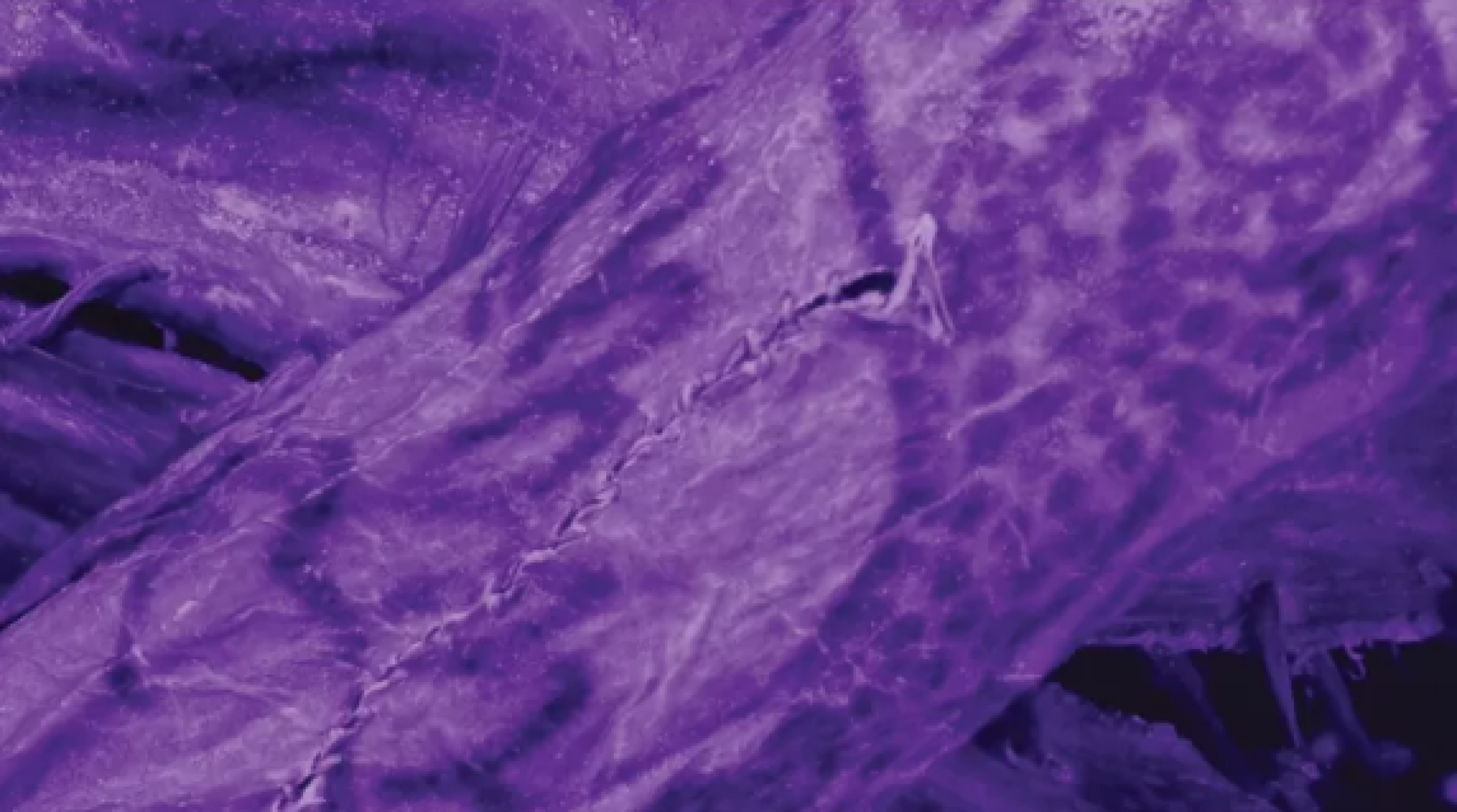 Registro da tatuagem encontrada por cientistas na Sibéria