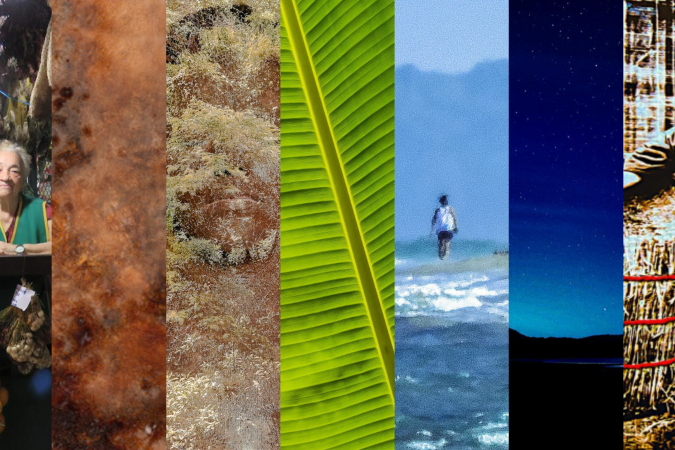 Exposição de fotografias Exposição de fotografias