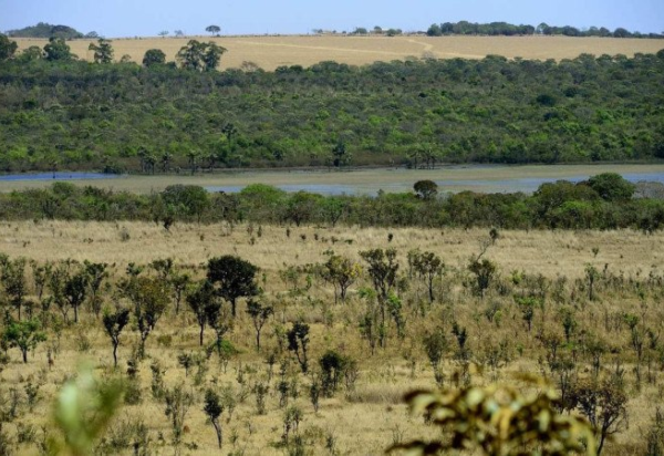 Marcelo Ferreira/CB/D.A Press 