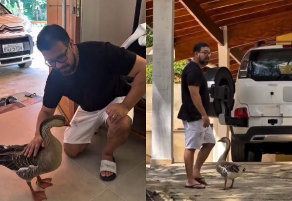 Reprodução/instagram/@menina.amada