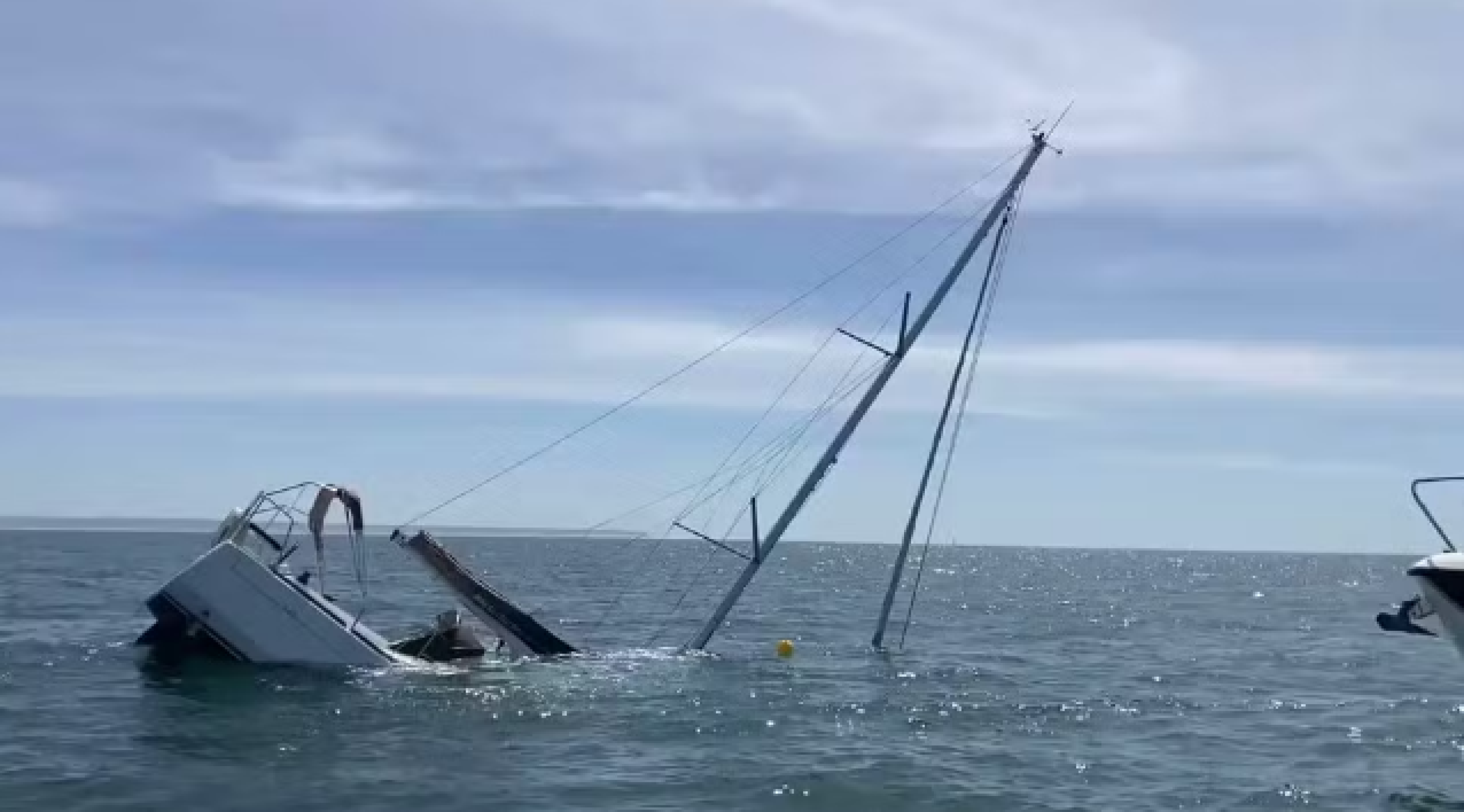 Ataque de orcas faz veleiro naufragar na costa de Portugal