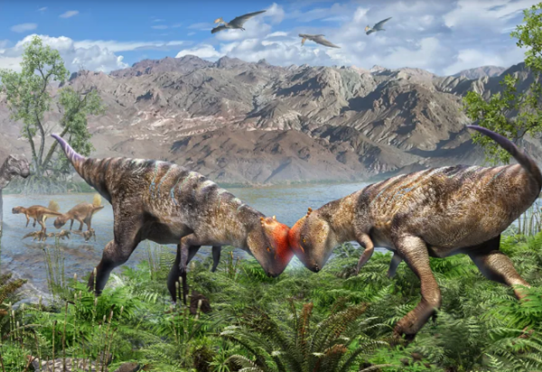 Masaya Hattori / Creative Commons