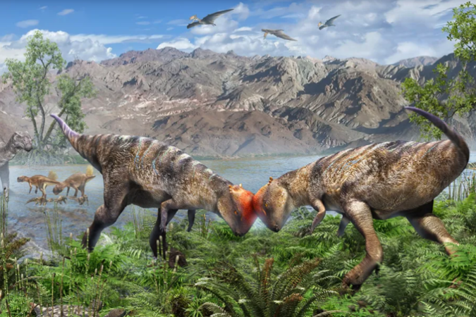 Fóssil do mais antigo dinossauro com 'capacete' é descoberto na Mongólia -  (crédito: Masaya Hattori / Creative Commons)