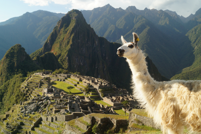 Machu Picchu: Patrimônio Mundial pode perder título de Maravilha do Mundo -  (crédito: Uai Turismo)