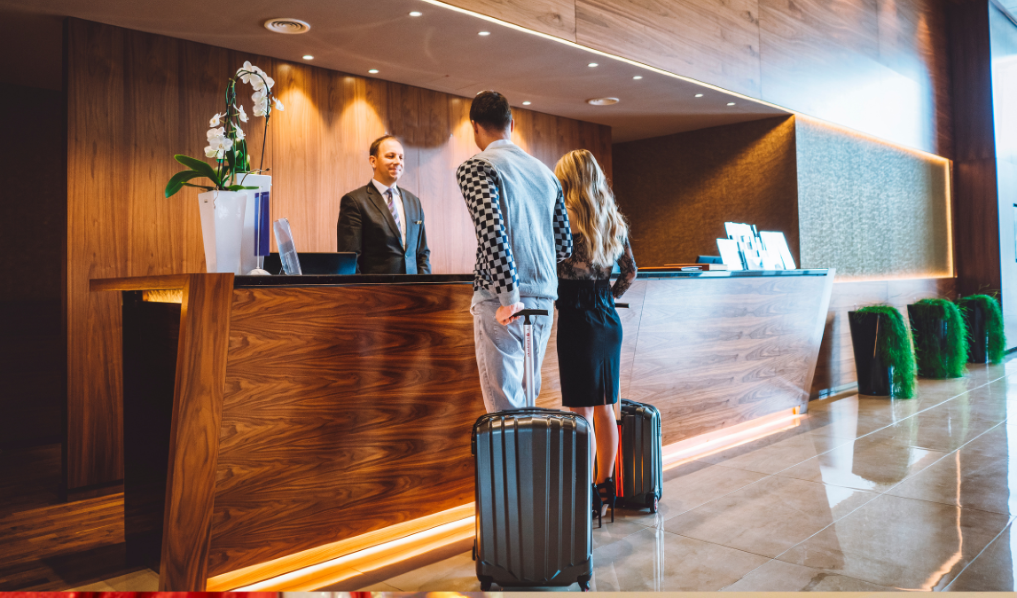 Revolução na hotelaria: Ministério do Turismo digitaliza Ficha de Hóspedes