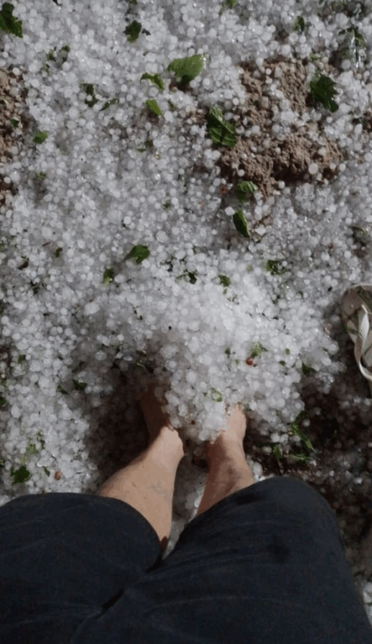 Granizo registrado entre São Miguel do Oeste e Barra Bonita, em Santa Catarina