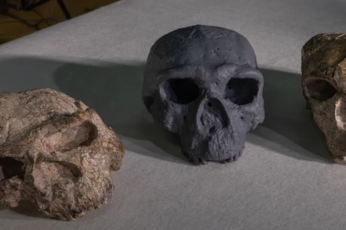 Reconstrução (centro) do crânio esmagado de Yunxian 2 (direita) encontrado na China. À esquerda, caveira esmagada encontrada no mesmo lugar -  (crédito: Mr. Guanghui Zhao)