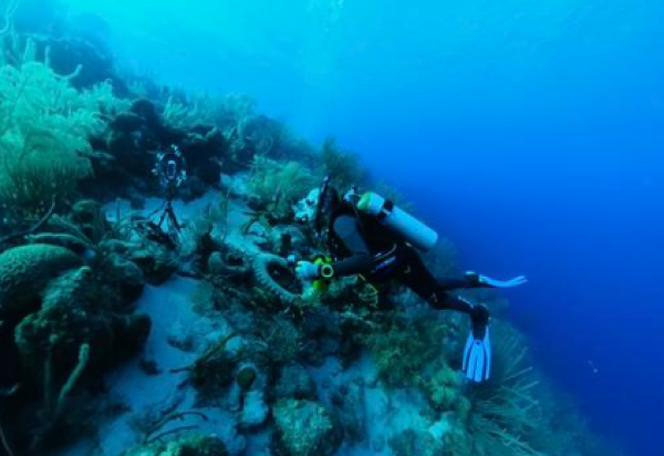 FishEye Collaborative